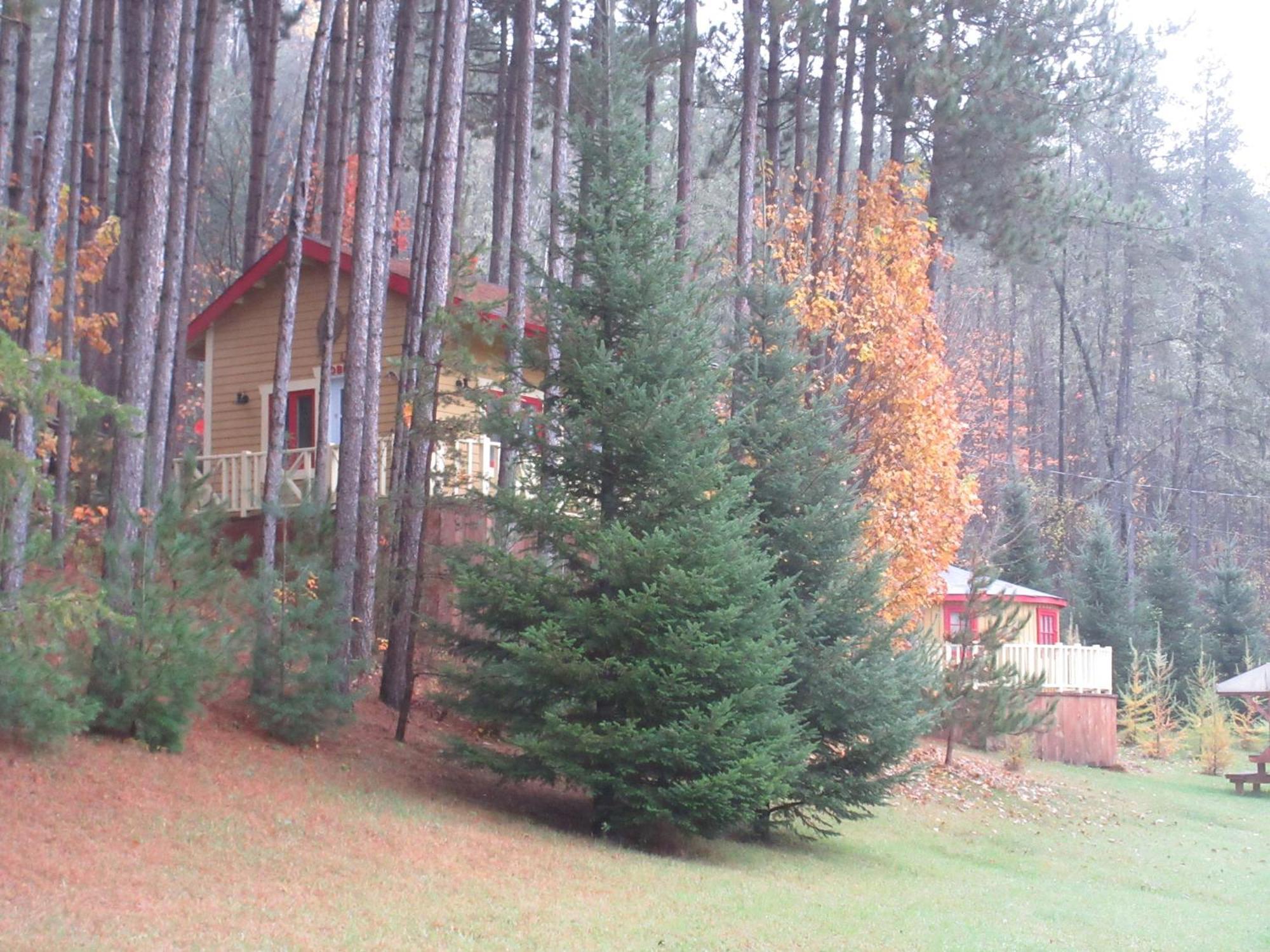 La Maison Sous Les Arbres Saint Roch de Mekinac Esterno foto