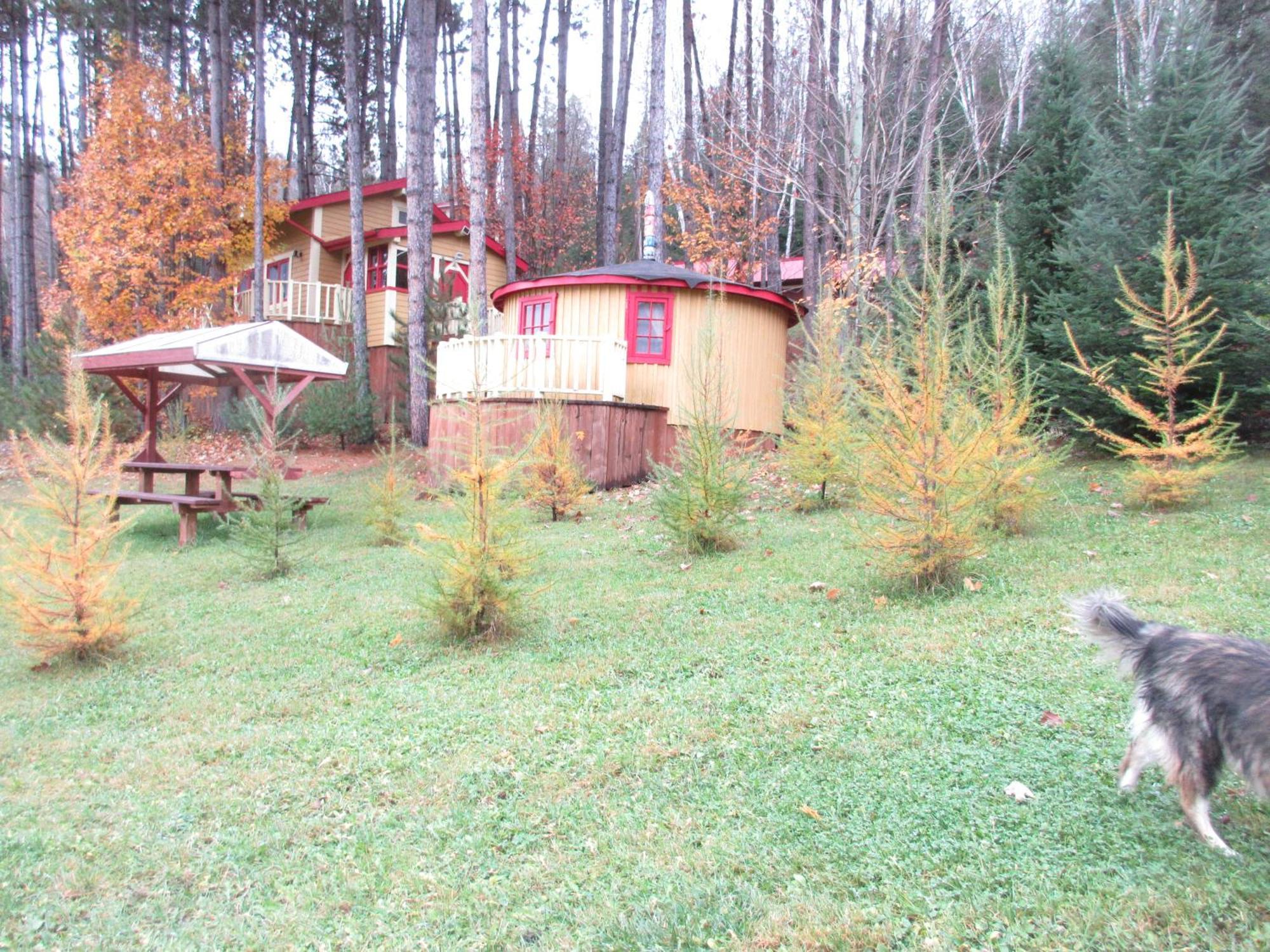 La Maison Sous Les Arbres Saint Roch de Mekinac Esterno foto