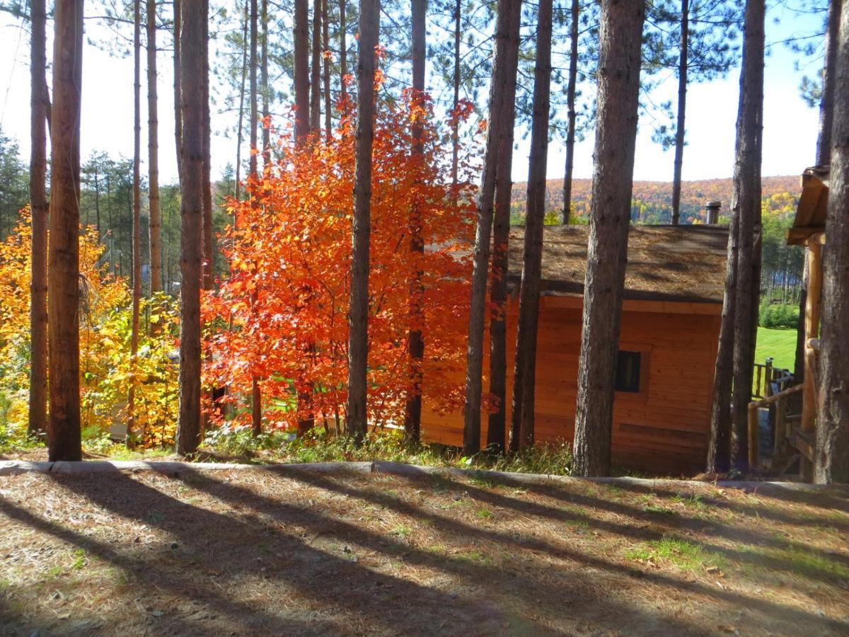 La Maison Sous Les Arbres Saint Roch de Mekinac Esterno foto
