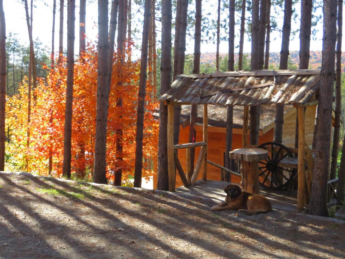 La Maison Sous Les Arbres Saint Roch de Mekinac Esterno foto