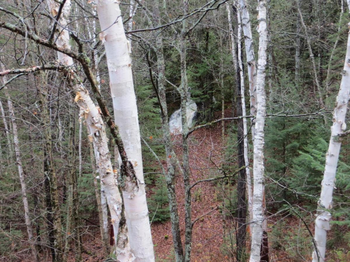 La Maison Sous Les Arbres Saint Roch de Mekinac Esterno foto